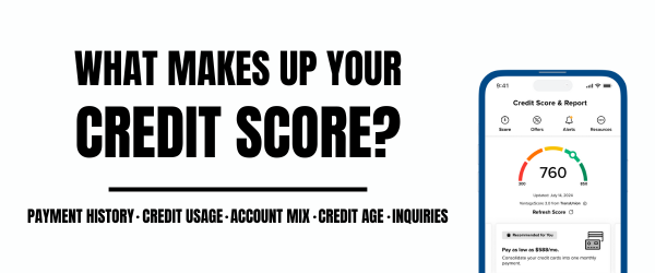 infographic - what makes up your credit score?